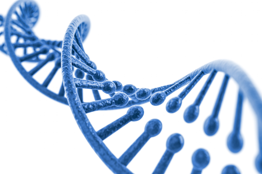 DNA Structure for Genetic Evaluations.